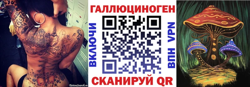 Псилоцибиновые грибы GOLDEN TEACHER купить сайты Карачаевск
