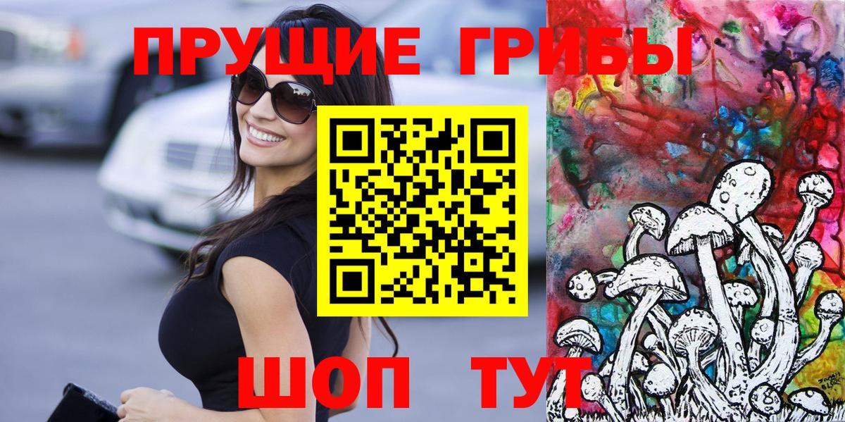 Псилоцибиновые грибы Cubensis Карачаевск