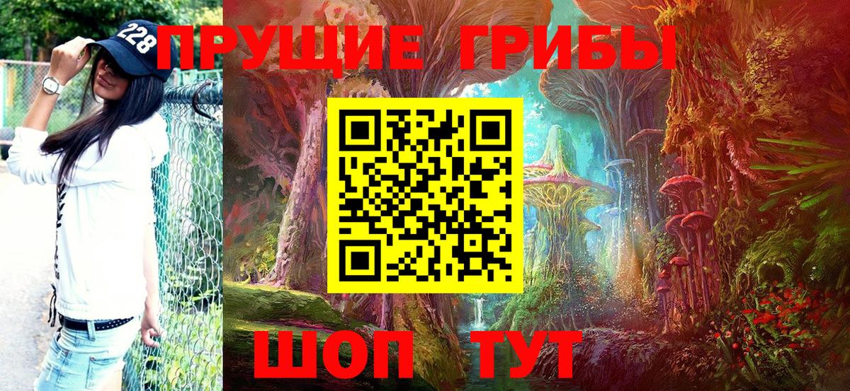Карачаевск  Псилоцибиновые грибы Cubensis  Псилоцибиновые грибы мухоморы  Вход с VPN 